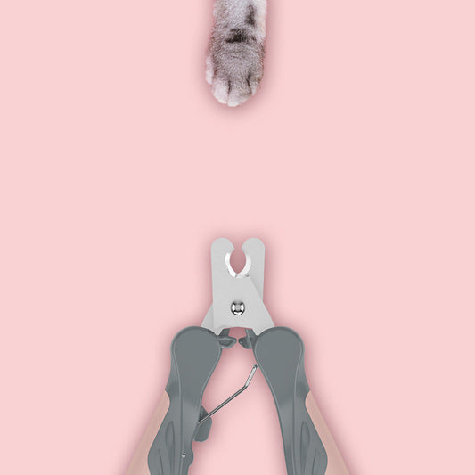 nail clippers